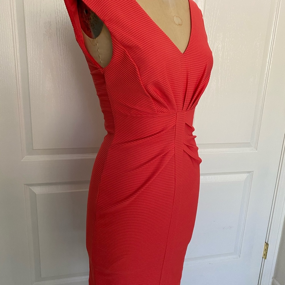 Express Dress - Picture 7 of 7